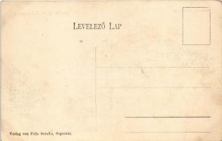 Segesvár, Schässburg, Sighisoara; Gewerbevereinshaus, Apotheke. Verlag von Fritz Serafin / Iparosegy...