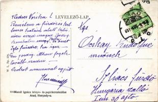 Arad, a város látképe. W. L. Bp. 234. Kiadja Mandl Ignácz / general view