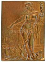 Ifj. Vastagh György (1868-1946) 1909. "Dr. Mikó Imre - Gr. Kemény József / Erdélyi Múzeum Egyesület 1859-1909" kétoldalas bronz plakett (60x44mm) T:AU,XF HP 6369.