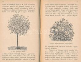 Ottó,[Adolph Wilhelm]/Benes János: A rózsatenyésztés a szabadban és cserepekben. Ottó Ily czímű munk...