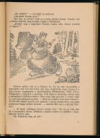 Ignácz Rózsa: Az igazi Ibrinkó. Tündérmesék, csodás történetek. A címlap és a színes képek Sóti Klár...