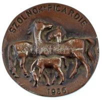 1986 " Szolnoki Picardie " Kétoldalas öntött, bronzozott alumínium plakett, ( 80 mm ), T:A...