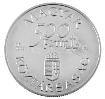 1993. 500Ft Ag "Régi dunai hajók - Árpád" tokban, foltos tanúsítvánnyal T:BU folt Adamo EM...