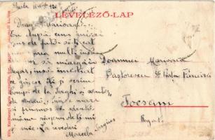 1920 Szamosújvár, Gherla; Népkerti méhész és korcsolyázó pavilon. Karátsonyi Gyula kiadása / beekeep...