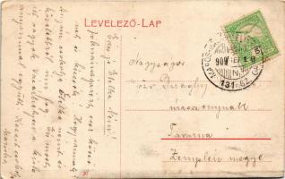 1909 Marosvásárhely, Targu Mures; Bolyay (Bolyai) utca, Pap üzlete / street view, shop + "MAROS...