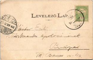 1906 Iglófüred, Bad Zipser Neudorf, Spisská Nová Ves Kupele, Novovesské Kúpele; Nagyvendéglő, éttere...
