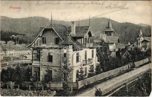 1906 Predeál, Predeal; nyaralók / villas (EM)