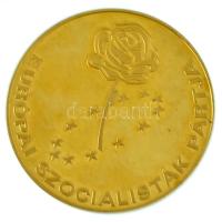 ~1990. "Magyar Szocialista Párt 1989-1999 / Európai Szocialisták Pártja" aranyozott fém em...