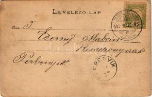 1903 Sátoraljaújhely, felvonulás. photo (EK)