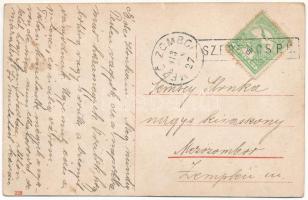 1913 Budapest II. Széna tér, villamos, Kappel Samu üzlete (fl)