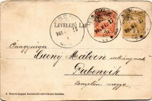 1908 Kemenesmagasi, Nemesmagasi, Nemes-Magasi; Horváth ház, Római katolikus templom, Kereskedői szöv...