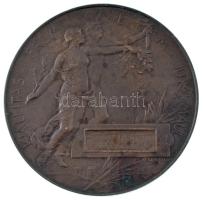 Beck Ötvös Fülöp (1873-1945) 1896. "1896-iki EZREDÉVES ORSZÁGOS KIÁLLÍTÁS / KIÁLLÍTÁSI ÉREM AZ ...