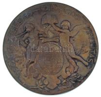 Beck Ötvös Fülöp (1873-1945) 1896. "1896-iki EZREDÉVES ORSZÁGOS KIÁLLÍTÁS / KIÁLLÍTÁSI ÉREM AZ ...