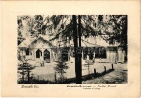 Borszék, Borsec; Kossuth kút / Kossuth-Brunnen / Fontana Kossuth / Fonteine Kossuth / mineral water spring, fountain, spa - képeslapfüzetből / from postcardbooklet (15,5 x 10,9 cm) (non PC)