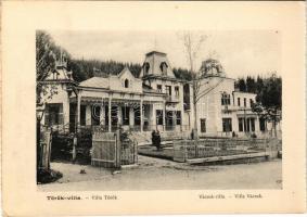 Borszék, Borsec; Török villa, Vácsuk villa / Villa Török, Vácsuk (képeslapfüzetből / from postcardbooklet) (15,5 x 10,9 cm) (non PC)