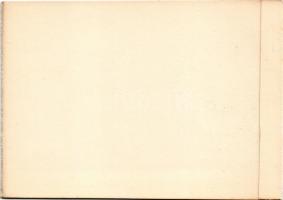 Borszék, Borsec; Török villa, Vácsuk villa / Villa Török, Vácsuk (képeslapfüzetből / from postcardbo...