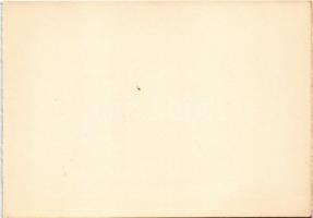 Borszék, Borsec; Emmaus és Irén villa / villas (képeslapfüzetből / from postcardbooklet) (15,5 x 10,...