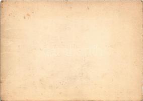 Borszék, Borsec; Jégbarlang / Eishöhle / Grotta de ghiata / La grotte de glace / ice cave(képeslapfü...