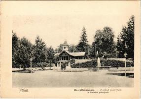 Borszék, Borsec; Főkút / Hauptbrunnen / Fontana principala / La fonteine principale / spring source (képeslapfüzetből / from postcardbooklet) (15,4 x 10,9 cm) (non PC)