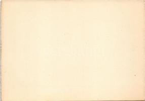 Borszék, Borsec; Főkút / Hauptbrunnen / Fontana principala / La fonteine principale / spring source ...