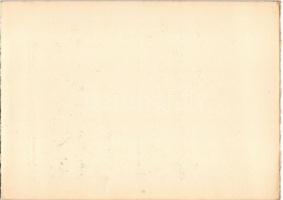 Borszék, Borsec; Dr. Szini és Excelsior villa / villas (képeslapfüzetből / from postcardbooklet) (15...