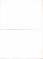 Győr 2003. "Domus vásárlási utalvány 5000Ft értékben" (2x) viszonylag közeli sorszámokkal,...