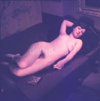 Akt portrék, 5 db színes diapozitív, 6×6,5 cm