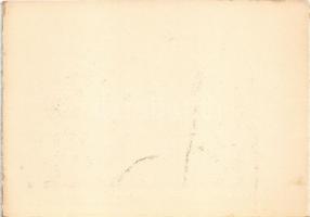 Borszék, Borsec; Medvebarlang / Bärenhöhle / Grotta ursului / La grotte de l'ours / cave (képes...