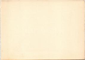 Borszék, Borsec; Remény Szálloda / hotel (képeslapfüzetből / from postcardbooklet) (15,4 x 10,9 cm) ...