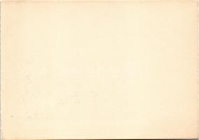 Borszék, Borsec; Urmánczy villa / villa (képeslapfüzetből / from postcardbooklet) (15,4 x 10,9 cm) (...