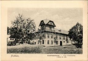 Borszék, Borsec; Székház / Comitashaus / Casa Comitatului / villa (képeslapfüzetből / from postcardbooklet) (15,4 x 10,9 cm) (non PC)