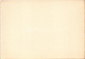 Borszék, Borsec; Székház / Comitashaus / Casa Comitatului / villa (képeslapfüzetből / from postcardb...