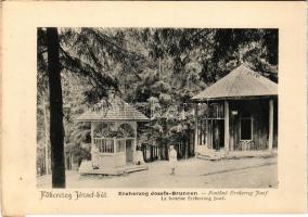 Borszék, Borsec; Főherceg József kút / Erzherzog Josefs-Brunnen / Fontana Erzherzeg Josef / spa, spring source, well (képeslapfüzetből / from postcardbooklet) (15,4 x 10,9 cm) (non PC)