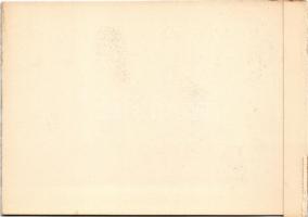 Borszék, Borsec; Főherceg József kút / Erzherzog Josefs-Brunnen / Fontana Erzherzeg Josef / spa, spr...