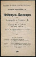 1911 Schwerin Regattaverein - Meldungen und Nennungen zur Ruderregatta in Schwerin, 21p