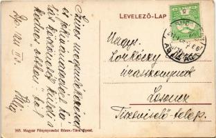 1911 Budapest IX. Lorántffy Zsuzsanna egyesület Diakonissza Otthona, Család utca 8-10. Tisztviselőte...