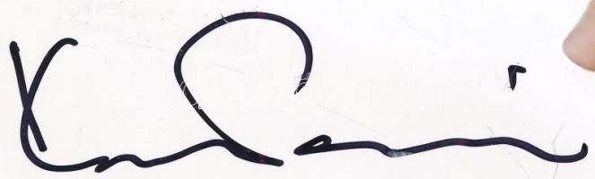 Kásás Tamás (1976- ) háromszoros olimpiai bajnok vízilabdázó autográf aláírása őt ábrázoló képen, 15...