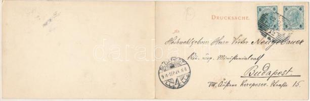 1901 Pola, Pula; Handelshafen / Kereskedelmi kikötő. 2-részes kihajtható panorámalap. Dep. F. W. Sch...