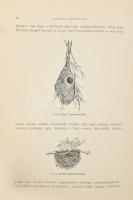 Chernelházi Chernel István: Magyarország madarai különös tekintettel gazdasági jelentőségökre. I. kö...