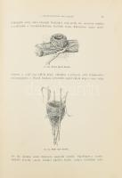 Chernelházi Chernel István: Magyarország madarai különös tekintettel gazdasági jelentőségökre. I. kö...