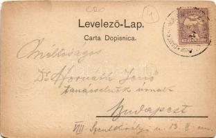 1900 Moravice, Komorske Moravice, Cameral Moravice; látkép télen / general view in winter (EM)