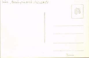 Léva, Levice; Országzászló, daloskör / Hungarian flag with men's choir. photo