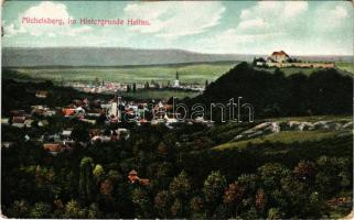 Kisdisznód, Michelsberg, Cisnadioara; vár. Georg Meyer kiadása / Michelsberg, im Hintergrunde Heltau / castle, general view (Rb)