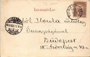 1900 Topánfalva, Topersdorf, Campeni; látkép. Szabó fivérek fényképészeti műintézete felvétele. Csik...