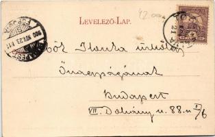 1900 Topánfalva, Topersdorf, Campeni; látkép. Szabó fivérek fényképészeti műintézete felvétele. Csik...