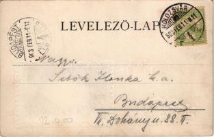 1903 Kolozsvár, Cluj; Erdészeti és pénzügyi palota. Rigó Árpád kiadása. Szecessziós dombornyomott ke...