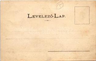 Máramarossziget, Sighetu Marmatiei; Prielle Cornélia szülőháza, Szabó Aurél ügyvéd tulajdona. Berger...