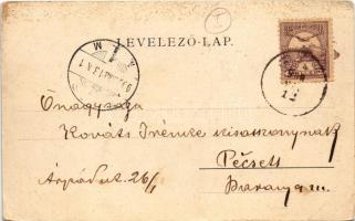 1900 Rónaszék, Rohnen, Costiui (Máramaros); Római katolikus templom és a sóbánya hivatal. Wizner és ...