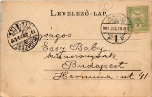 1902 Arad, Maros-part / Mures riverside (fl)