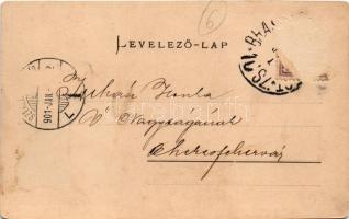 1901 Nagyenyed, Aiud; Alsó-Fehér vármegye székháza, vármegyeháza. Winkler János kiadása / county hal...